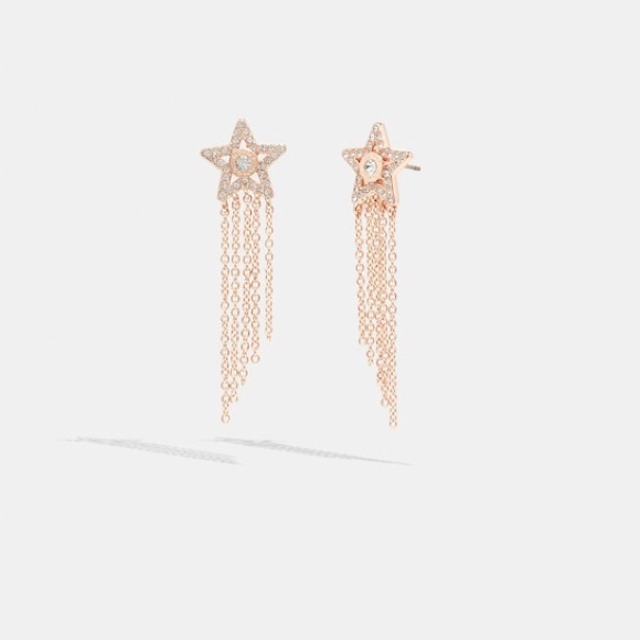 COACH Signature Star Fringe Hypoallergenic Post Earrings With CZ In Rose Gold - Picture 16 of 16